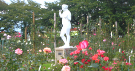 開成山公園のバラ園