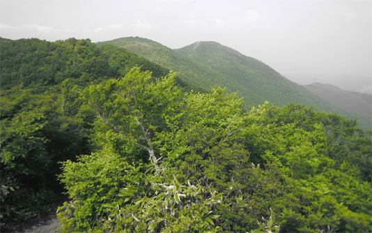 額取山（安積山）を望む 14.20