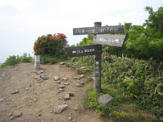 大将旗山山頂 13.55