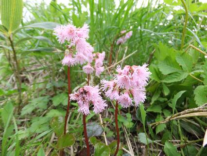 DSCF4118.jpg