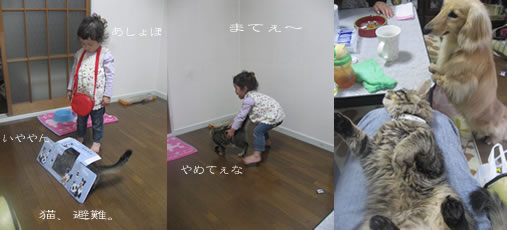 110506.jpg