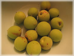 ume.jpg