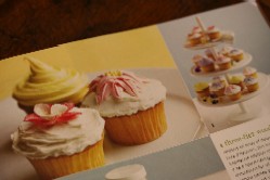 catalog cupcakes