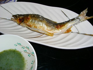 鮎