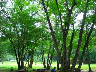 魅惑の里