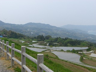 棚田
