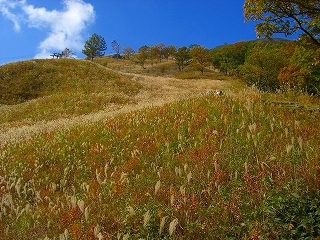 深入山　登山はじめ