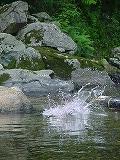 飛び込み３