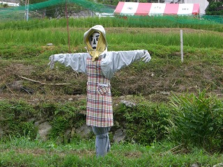 そば　かかし