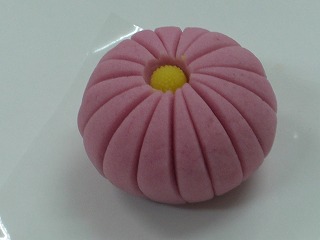 夏菊仕上げ