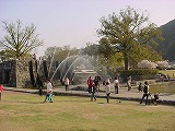 花見４