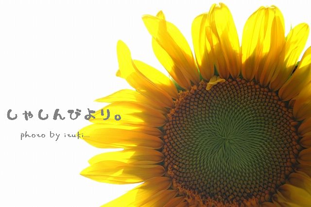 とっぷたいとる