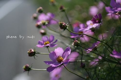 IMG_1991.jpg