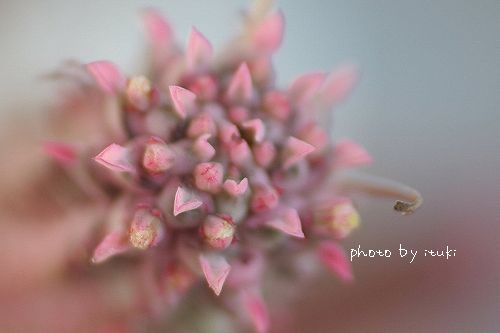 IMG_3053.jpg