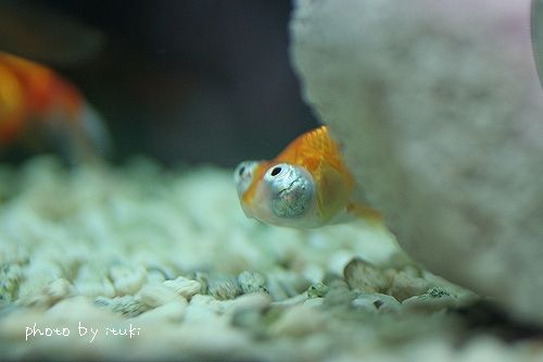 IMG_2969.jpg