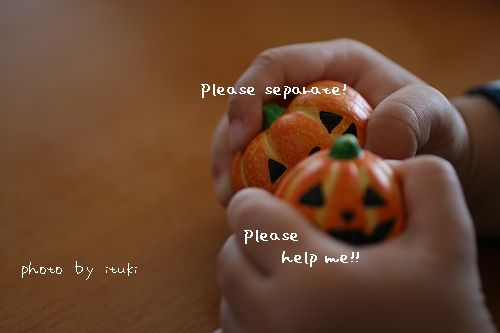 TOYにいじられるの図ｗ