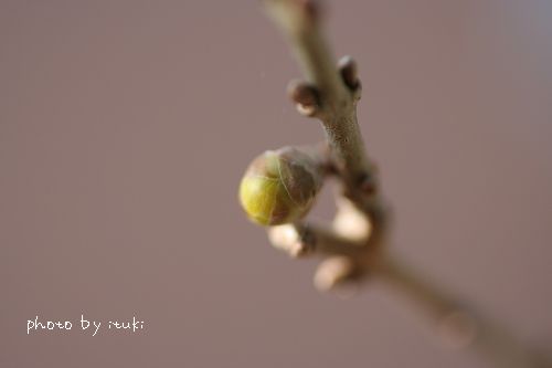 IMG_3097.jpg