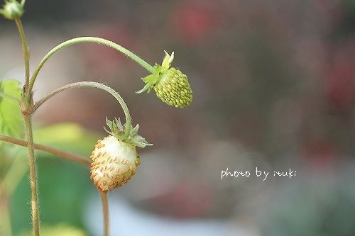 IMG_3085.jpg