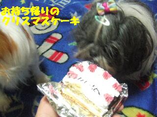 チーズとクリスマスケーキ