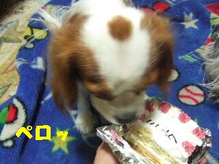 横からつまみ食い