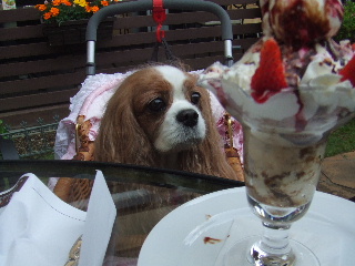 パフェに釘付け