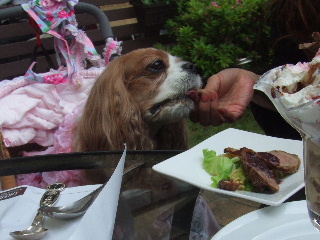 子羊のロースト