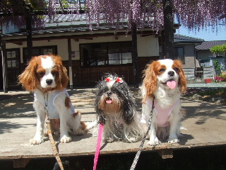 いい天気だね～