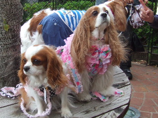 メルモちゃんと２ショット