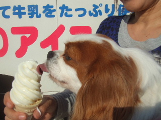 いでぼくのソフトクリーム