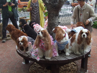 たくさんのお友達と