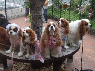 メルモちゃん、姿勢がいい！！