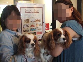 ミルクとアリスちゃん