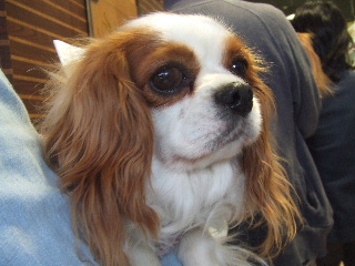 まだかなぁ・・・