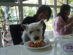 カットケーキも食べますよ