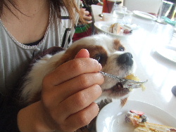 ミルクはクリームが好き