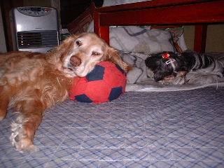 寝姿２ショット