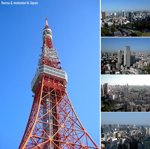 japan2006-5tokyotower