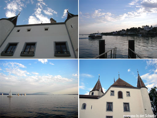 nyon02