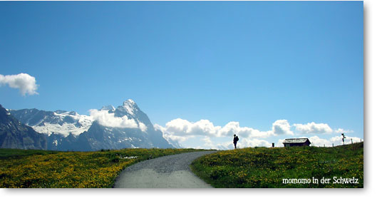 grossescheidegg