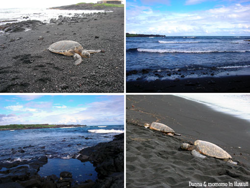 Hawaii-1blacksandbeach