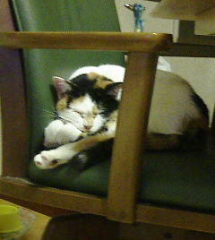 zzz zzz zzz