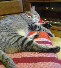 眠いわよ