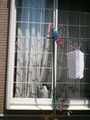 風車が気になるにゃん