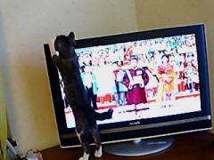 胴長コピ蔵。