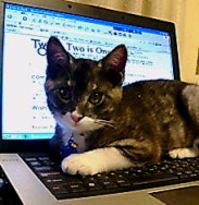 2008-01-01 22:50:39