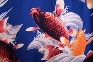 koi