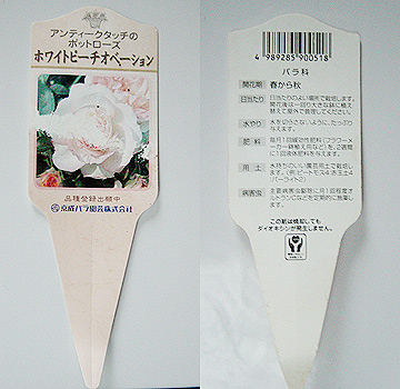 京成バラ園さん