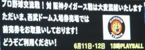 阪神戦告知