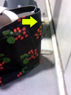 とんぼちゃん！？