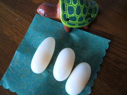 これでもわかるわけないか・・・・